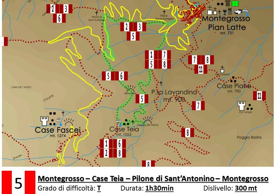 4 luglio – Montegrosso Pian Latte: passeggiata notturna nel bosco