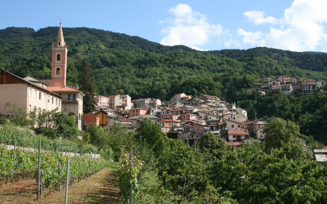 19 luglio – Festa delle Erbe e della Lavanda