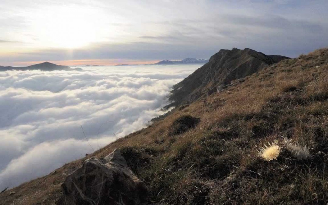 Corso Perfezionamento “Professionisti progettazione europea Montagna”