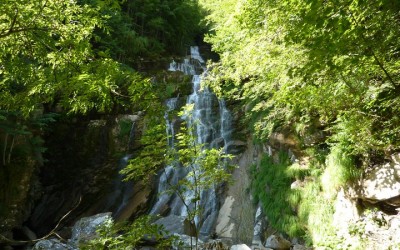 Ferragosto a Montegrosso Pian Latte – Fiaccolata, escursione e giochi