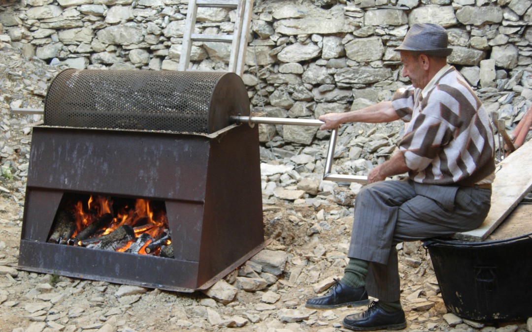 9 ottobre – Il Comune di Montegrossoinvita le scuole alla Festa della Castagna