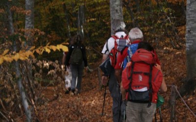 Domenica 18 ottobre – Colori d’autunno con la Pro Loco di Mendatica
