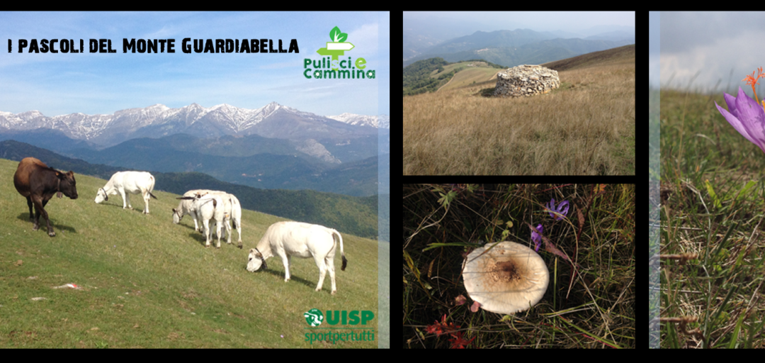 Altrove sulle Alpi Liguri – Sui pascoli del Guardiabella con Monesi Young