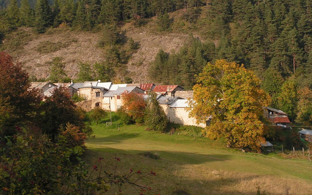 15 novembre – Autunno nel Bosco delle Navette