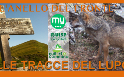 22 novembre – L’anello del Frontè sulle tracce del lupo