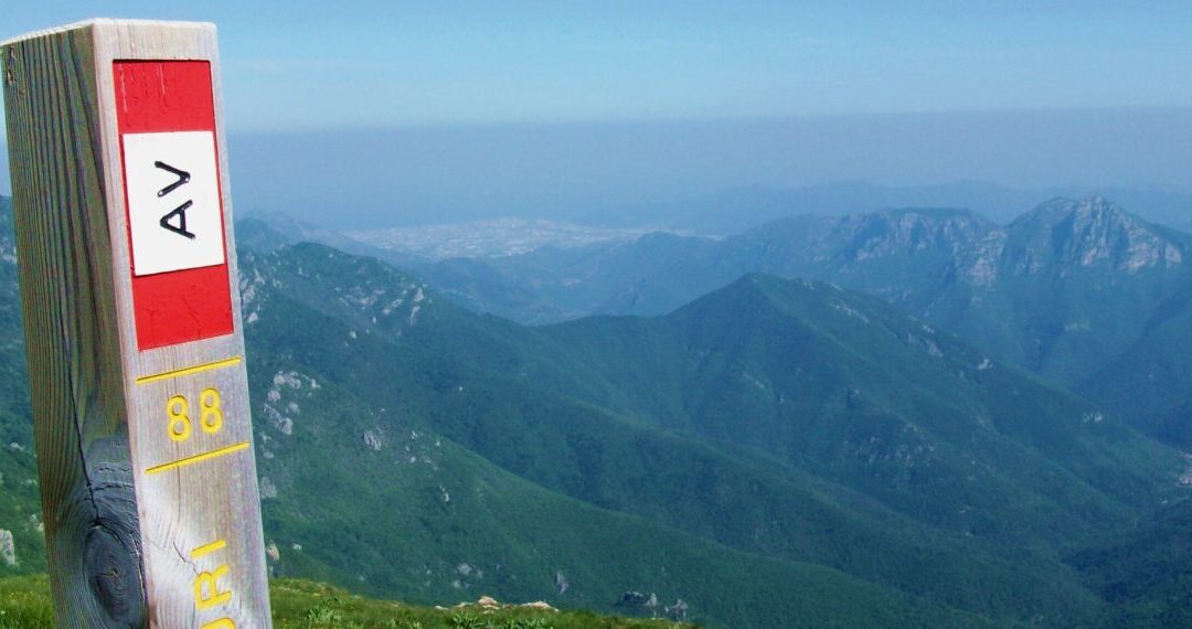 AgenziaIn Liguria nuova promotrice dell’AVML