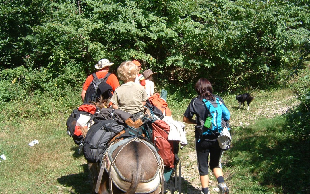 Trekking con asini e gite personalizzate