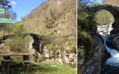 20 aprile – Escursione Lavina-Rezzo con MY