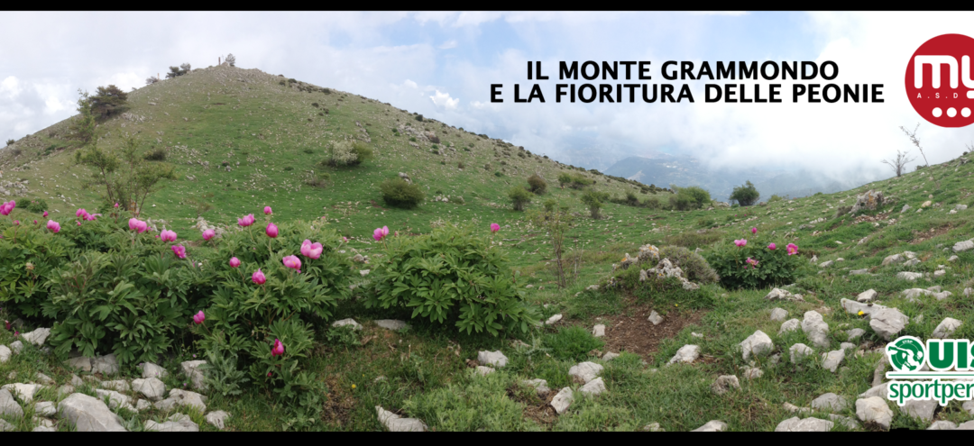 Altrove… Il Monte Grammondo e la fioritura delle peonie
