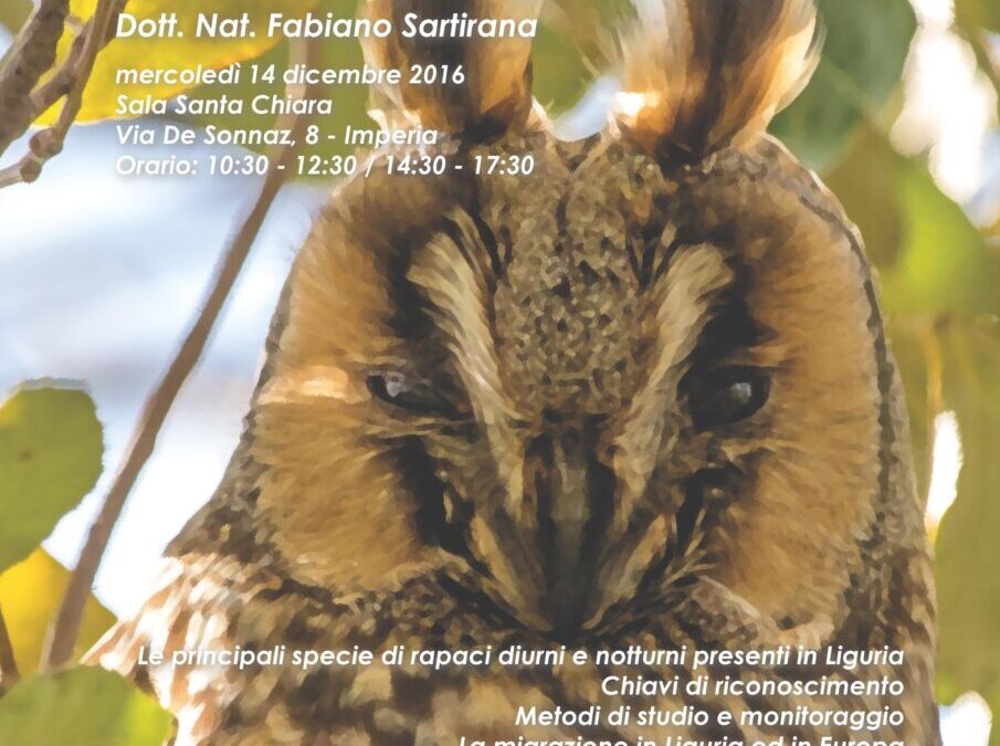 Corso rapaci – data posticipata