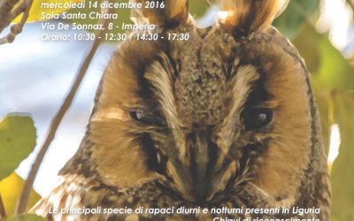 14 dicembre – Corso rapaci a Imperia