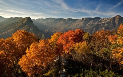 Turismo nelle Alpi Liguri rinnova il consiglio direttivo