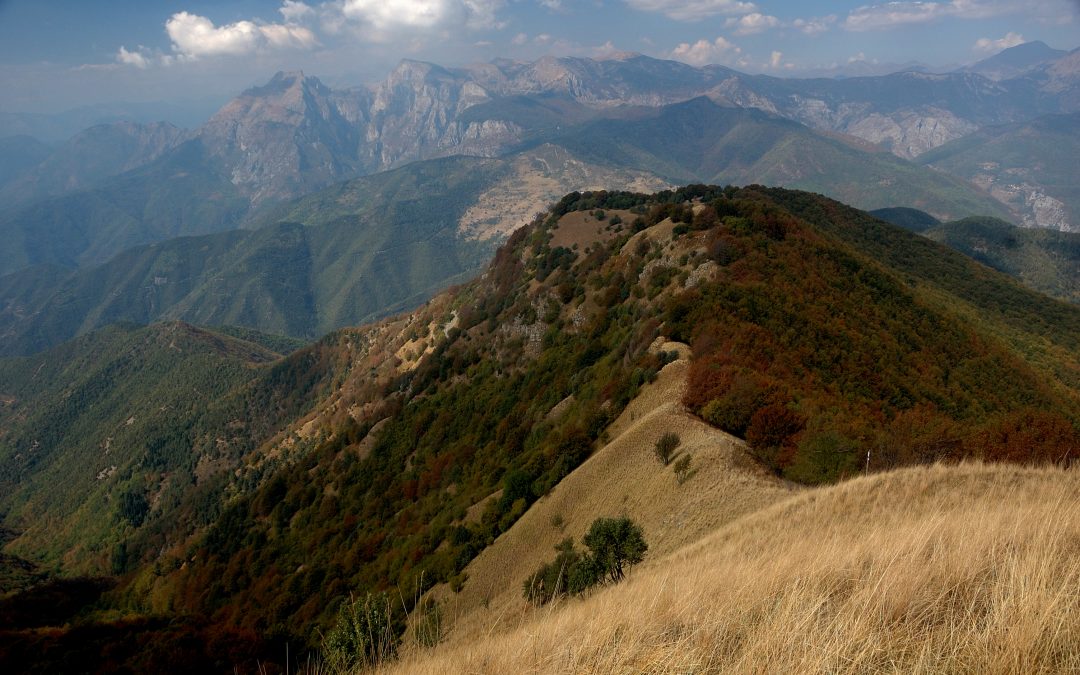 Nuove strategie di sviluppo per il Parco Alpi Liguri