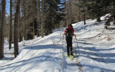 Le attività invernali del CTE Alpi Liguri