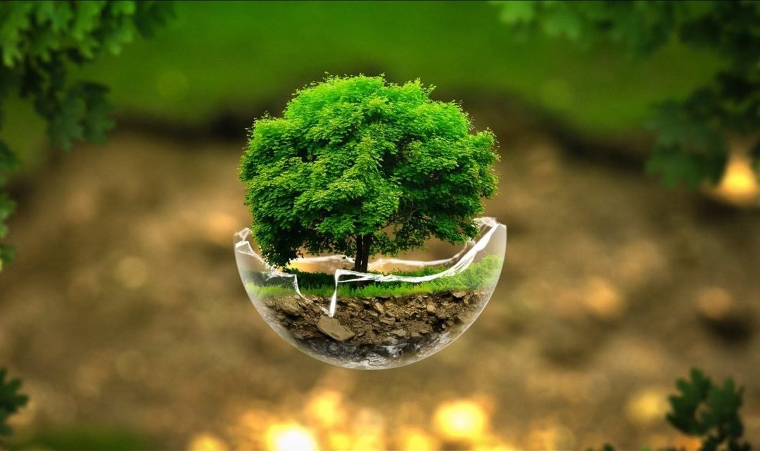 22 aprile – Giornata Mondiale della Terra