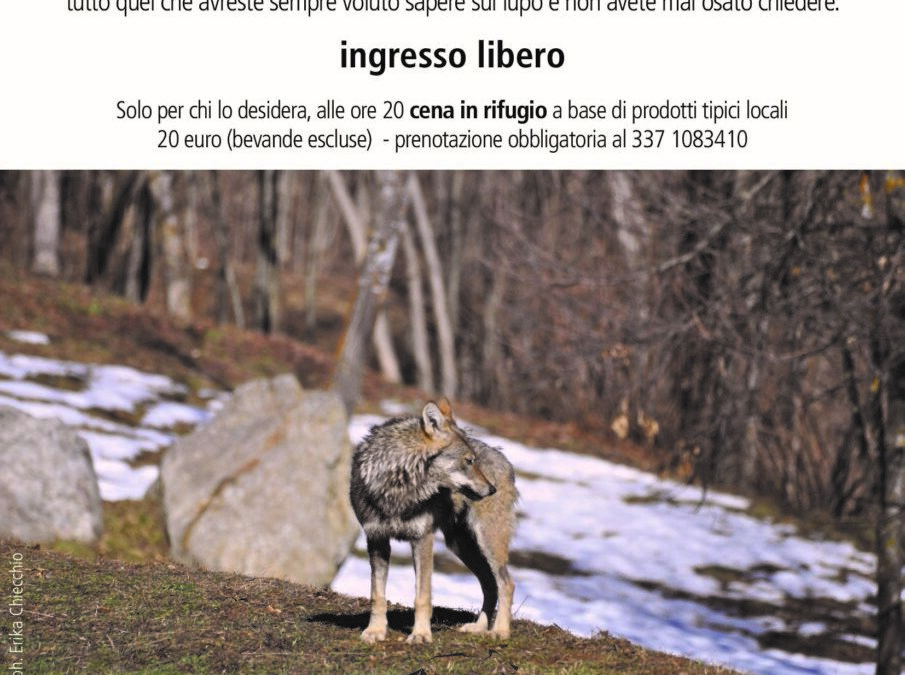 Altrove… Trekking Life WolfAlps