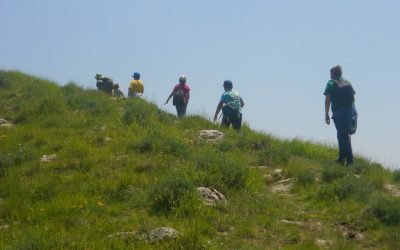 4 giugno – Escursione notturna nel Bosco di Rezzo