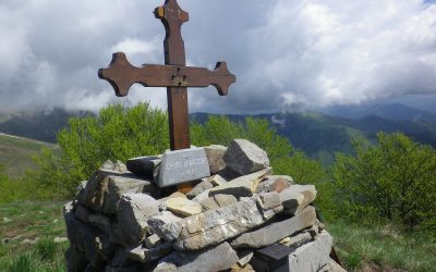 14 maggio – Il fascino del Bosco di Rezzo