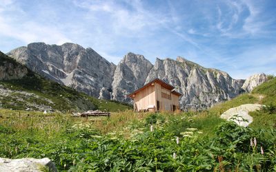 UniMont – Terre Alpine fra abbandono e ritorno