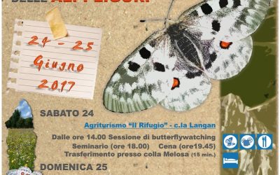 24-25 giugno – Butterfly Watching nel Parco Alpi Liguri