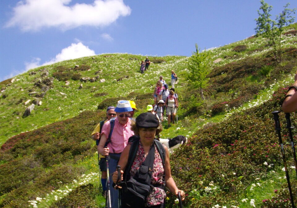 18 giugno – Andar per Rododendri sul Saccarello
