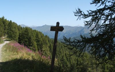 22 luglio – Dalla Val Nervia alla Valle Argentina attraverso Gerbonte