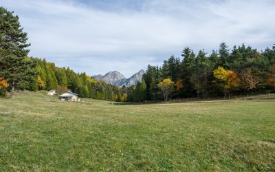 9 luglio – Da Gouta al Monte Forquin