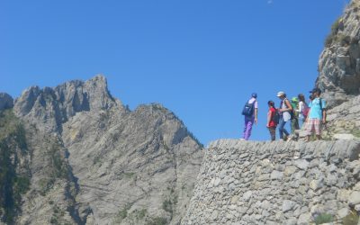 8 luglio – Sul Sentiero degli Alpini