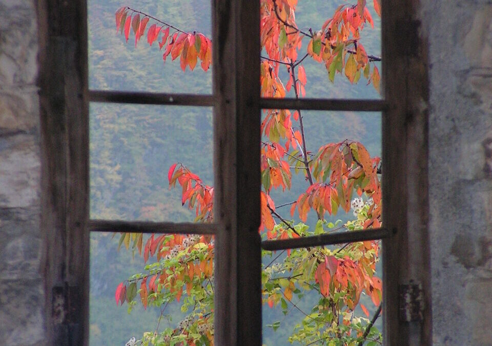 Eventi nel Parco 24 settembre