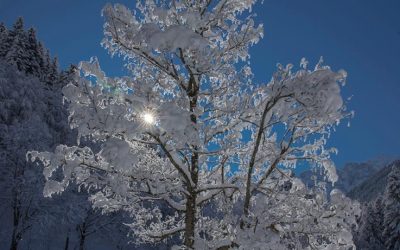 Capodanno nel Parco Alpi Liguri