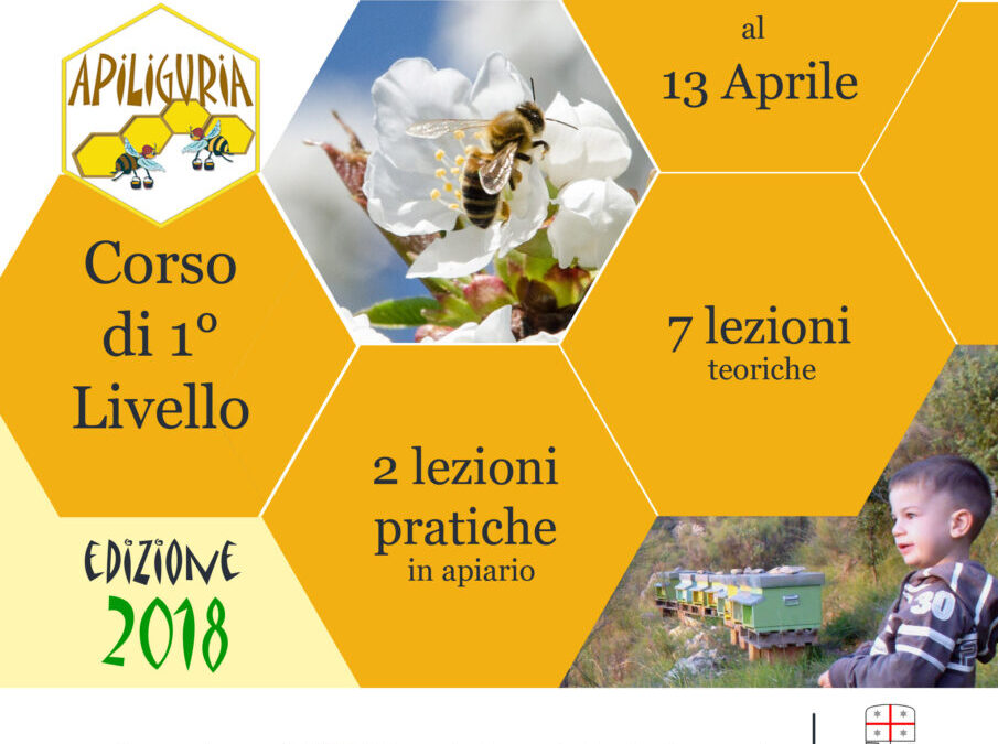 In evidenza – Notizie Liguria e ApiLiguria