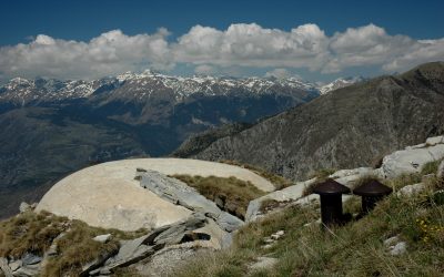 Eventi nel Parco 17 febbraio