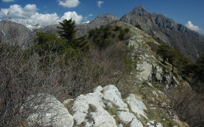 Il risveglio di Primavera nelle Alpi Liguri