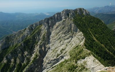 Eventi nel Parco 15 luglio