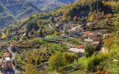 21 luglio – Sagra della trota a Rezzo