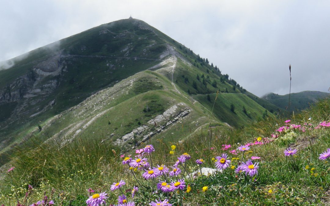 26 agosto – Il Monte Garlenda con Marco Rosso