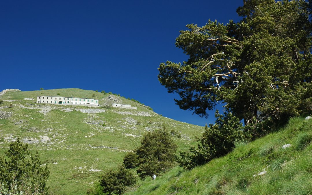 14 agosto – Escursione Colle Melosa-Monte Grai