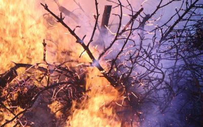 AVVISO – Stato grave pericolosità incendi boschivi