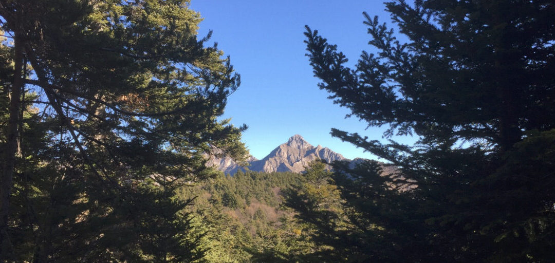 16 settembre – Escursione nella foresta di Gouta