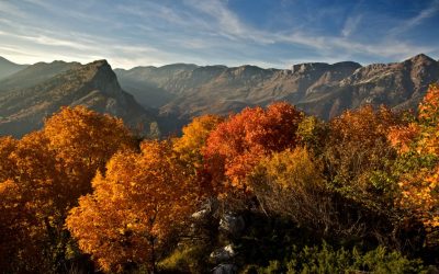 21 ottobre – Il CTE di Mendatica sulla Balconata di Ormea