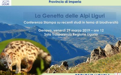 Conferenza Stampa “La Genetta delle Alpi Liguri”