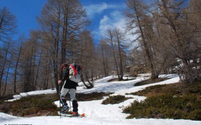 10 marzo – Ciaspolata nel Bosco delle Navette