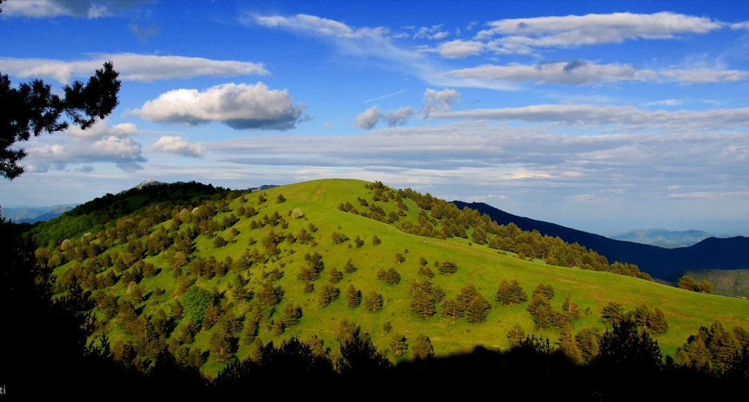 28 aprile – Le fioriture delle Alpi Liguri