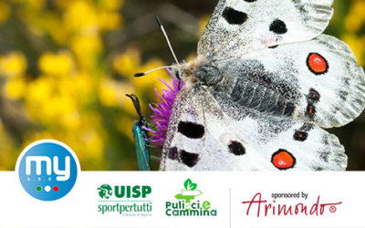 2 giugno – Butterfly Watching sulle Alpi Liguri