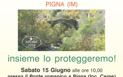 15 giugno  – Il ponte romanico sul Rio Carne