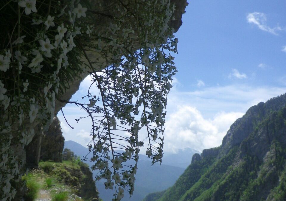 23 giugno – Escursione sul Sentiero degli Alpini