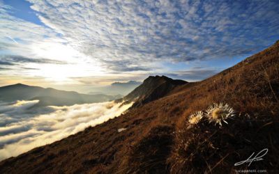 Alpi Liguri primo Parco regionale con bollino blu su Instagram
