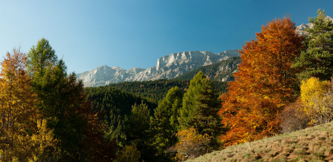 26 ottobre – Il CTE di Mendatica sulla Balconata di Ormea