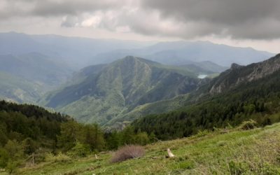 27 settembre Giornata Sentieri Liguri 2020 – Escursione “L’Anello del Monte Grai – Un percorso fra storia e natura”