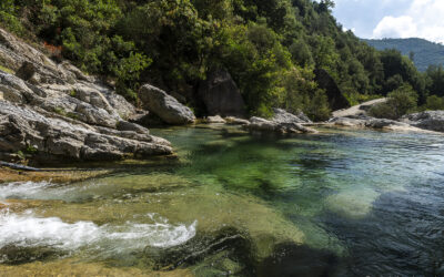 PSR Liguria “Piani di tutela e gestione dei siti Natura 2000” – Pubblicato dal Parco un avviso di selezione per 17 incarichi professionali